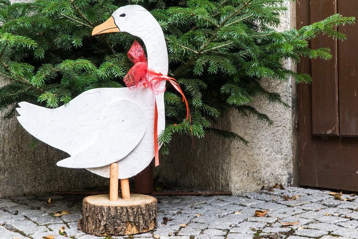 O Fotomagazin / Martinimarkt in Steinerkirchen 2016